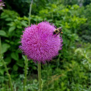 Nice to connect with you. I am Joan